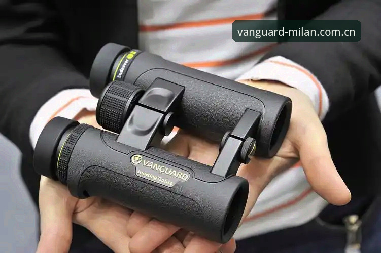 米兰体育平台Vanguard J5AT版本深度评测：找替代投注站？这份实战体验报告别错过