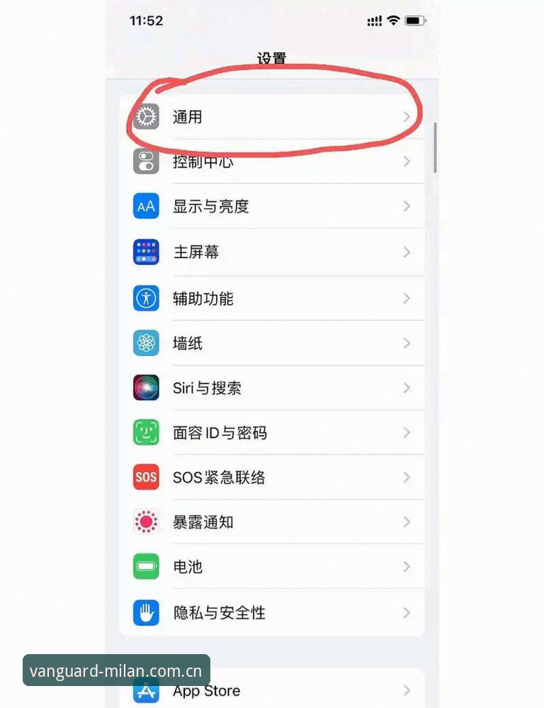 米兰官方app 米兰官方app下载后总闪退?老用户手把手教你避开Vanguard J5AT的坑